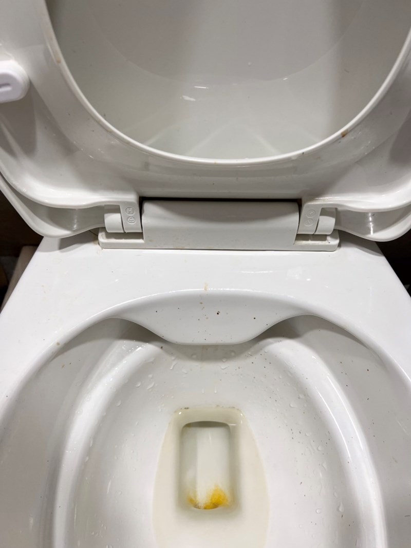 女人知己試用大隊,口碑行銷,部落客行銷,三新立潔 加強版 萬能去漬霸,柑橘萃取,柑橘香氣,輕鬆去汙,潔白如新,強力有效