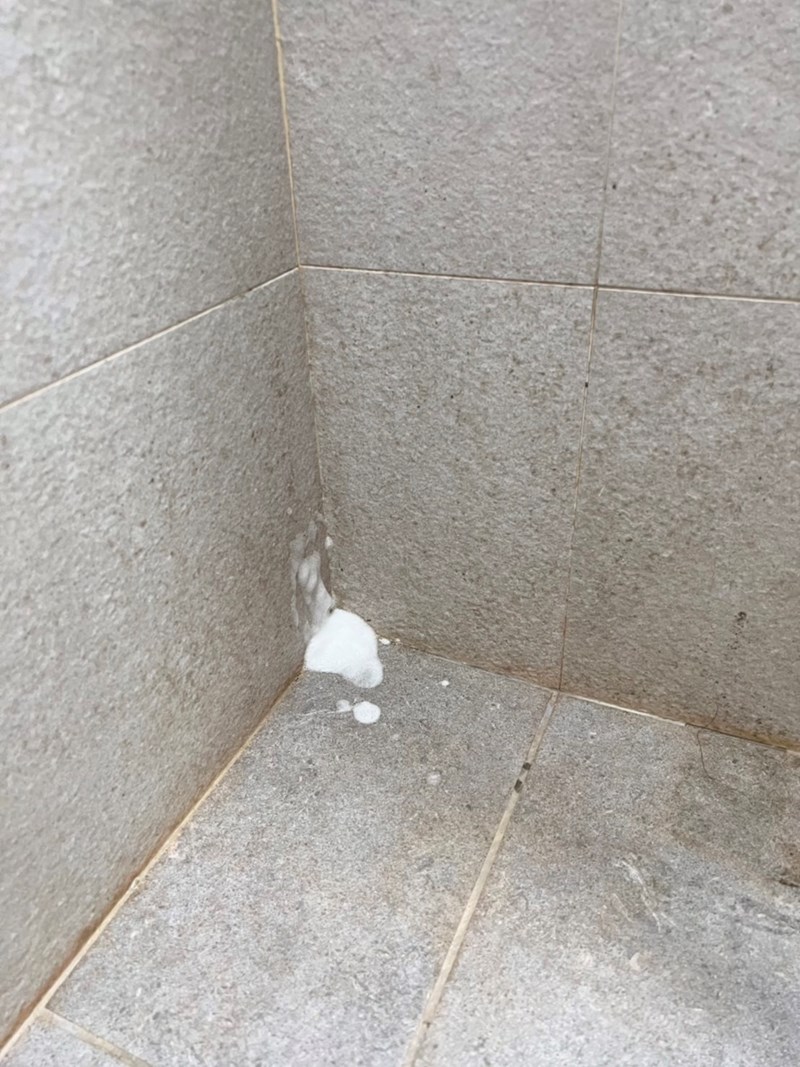 女人知己試用大隊,口碑行銷,部落客行銷,三新立潔 加強版 萬能去漬霸,柑橘萃取,柑橘香氣,輕鬆去汙,潔白如新,強力有效
