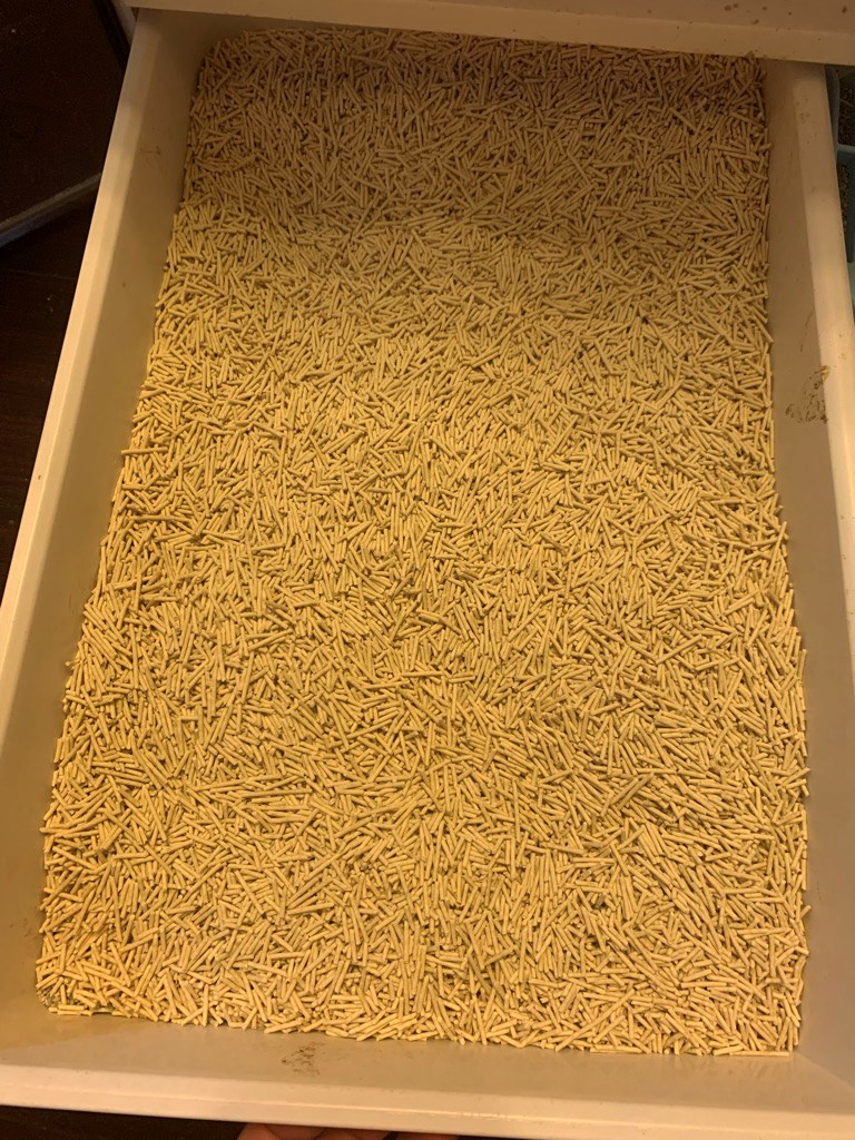 女人知己試用大隊,口碑行銷,部落客行銷,寵愛物語 輕植系貓砂 極細型 14lb,天然食品級原料,1.5mm超級細，用量省,包覆性強,無添加有害物質,可沖馬桶或當作推肥使用,低粉塵,迅速凝結,換砂無感轉換