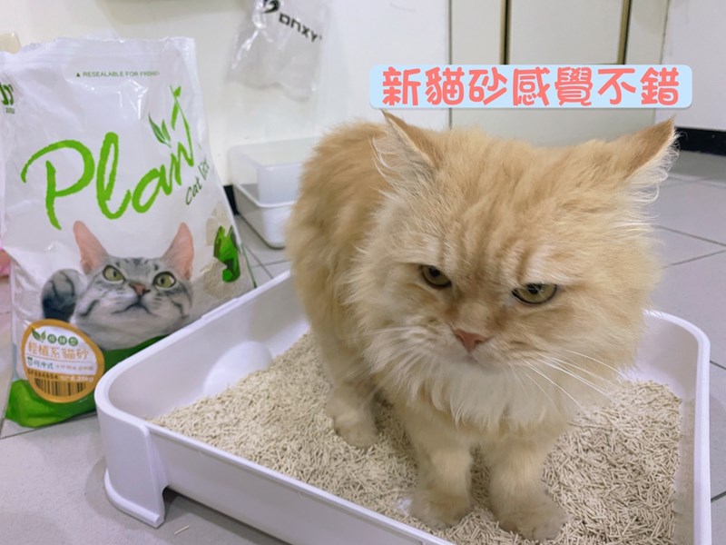 女人知己試用大隊,口碑行銷,部落客行銷,寵愛物語 輕植系貓砂 極細型 14lb,天然食品級原料,1.5mm超級細，用量省,包覆性強,無添加有害物質,可沖馬桶或當作推肥使用,低粉塵,迅速凝結,換砂無感轉換
