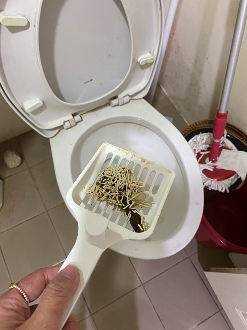 女人知己試用大隊,口碑行銷,部落客行銷,寵愛物語 輕植系貓砂 極細型 14lb,天然食品級原料,1.5mm超級細，用量省,包覆性強,無添加有害物質,可沖馬桶或當作推肥使用,低粉塵,迅速凝結,換砂無感轉換