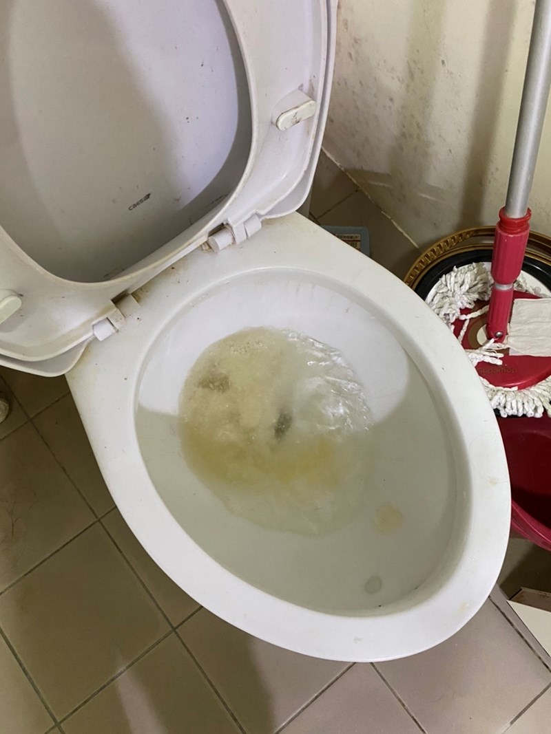 女人知己試用大隊,口碑行銷,部落客行銷,寵愛物語 輕植系貓砂 極細型 14lb,天然食品級原料,1.5mm超級細，用量省,包覆性強,無添加有害物質,可沖馬桶或當作推肥使用,低粉塵,迅速凝結,換砂無感轉換