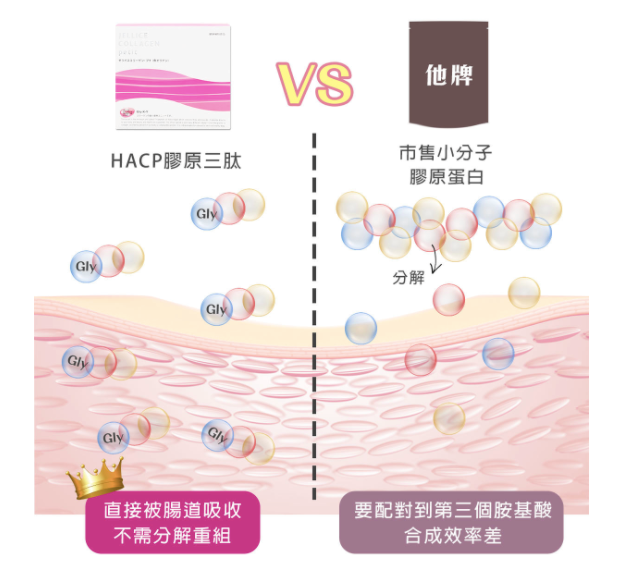 女人知己試用大隊,口碑行銷,部落客行銷,極速Q彈膠原蛋白 HACP膠原三肽,JELLICE傑樂,日本技術,膠原蛋白推薦,膠原蛋白粉,青春美麗,養顏美容,0添加,全球熱賣,HACP膠原三肽就是肽小,肽快,肽有效