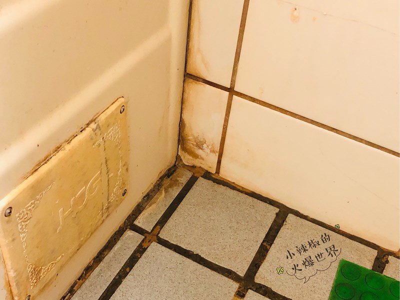 女人知己試用大隊,口碑行銷,部落客行銷,三新立潔 加強版 萬能去漬霸,柑橘萃取,柑橘香氣,輕鬆去汙,潔白如新,強力有效