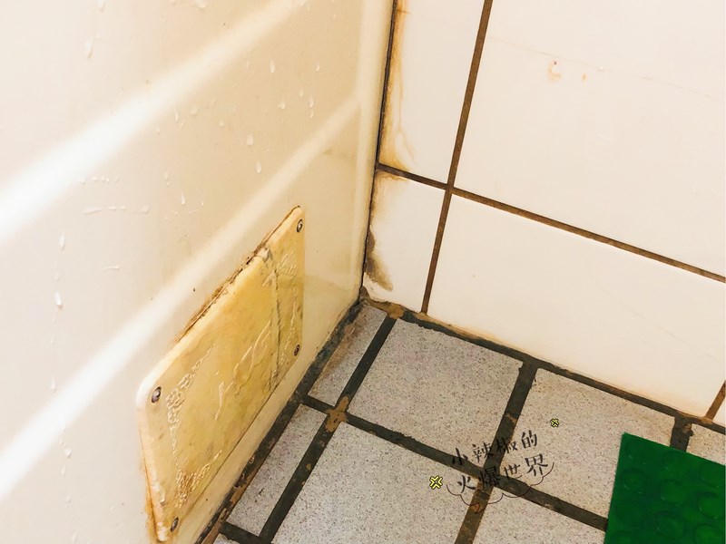 女人知己試用大隊,口碑行銷,部落客行銷,三新立潔 加強版 萬能去漬霸,柑橘萃取,柑橘香氣,輕鬆去汙,潔白如新,強力有效