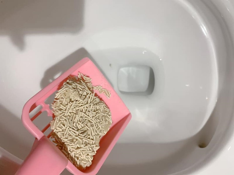 女人知己試用大隊,口碑行銷,部落客行銷,寵愛物語 輕植系貓砂 極細型 14lb,天然食品級原料,1.5mm超級細，用量省,包覆性強,無添加有害物質,可沖馬桶或當作推肥使用,低粉塵,迅速凝結,換砂無感轉換