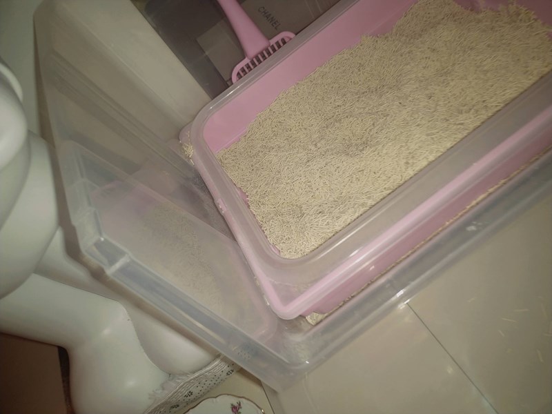 女人知己試用大隊,口碑行銷,部落客行銷,寵愛物語 輕植系貓砂 極細型 14lb,天然食品級原料,1.5mm超級細，用量省,包覆性強,無添加有害物質,可沖馬桶或當作推肥使用,低粉塵,迅速凝結,換砂無感轉換