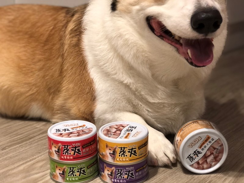 女人知己試用大隊,口碑行銷,部落客行銷,維齊 Vi.Chi 蒸爽機腿犬餐罐 80g,鮮嫩大塊雞腿肉,機能高湯補充營養與水分,低卡路里,低脂肪,易吸收,增強體質,大塊肉塊,口感十足