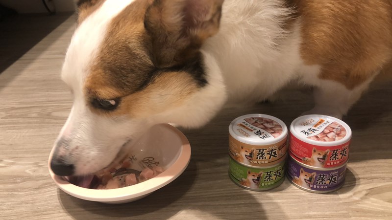 女人知己試用大隊,口碑行銷,部落客行銷,維齊 Vi.Chi 蒸爽機腿犬餐罐 80g,鮮嫩大塊雞腿肉,機能高湯補充營養與水分,低卡路里,低脂肪,易吸收,增強體質,大塊肉塊,口感十足