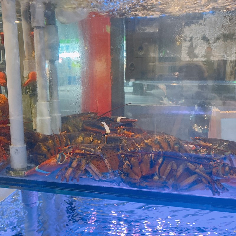 女人知己試用大隊,口碑行銷,部落客行銷,海陸雙人套餐,中壢火鍋推薦,中壢聚餐,中原火鍋推薦,中壢和牛,源自蘆洲正官,中壢火鍋,桃園火鍋,中壢鍋物推薦,中壢上官木桶鍋,上官木桶鍋