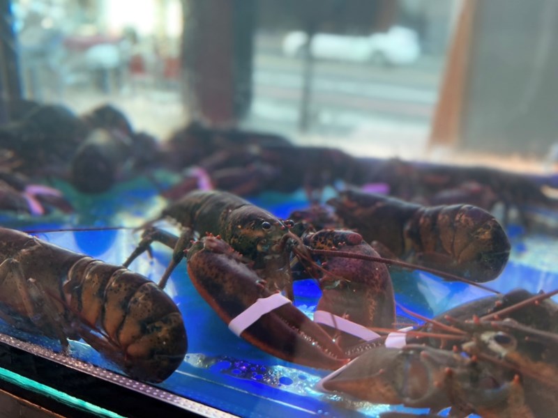 女人知己試用大隊,口碑行銷,部落客行銷,海陸雙人套餐,中壢火鍋推薦,中壢聚餐,中原火鍋推薦,中壢和牛,源自蘆洲正官,中壢火鍋,桃園火鍋,中壢鍋物推薦,中壢上官木桶鍋,上官木桶鍋