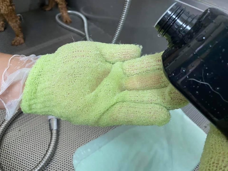 女人知己試用大隊,SOINS絲旺洗毛精,SOINS絲旺,洗毛精,SOINS絲旺潔白蓬鬆洗毛精,SOINS絲旺平衡控油洗毛精,SOINS絲旺舒緩抗敏洗毛精,貓狗適用