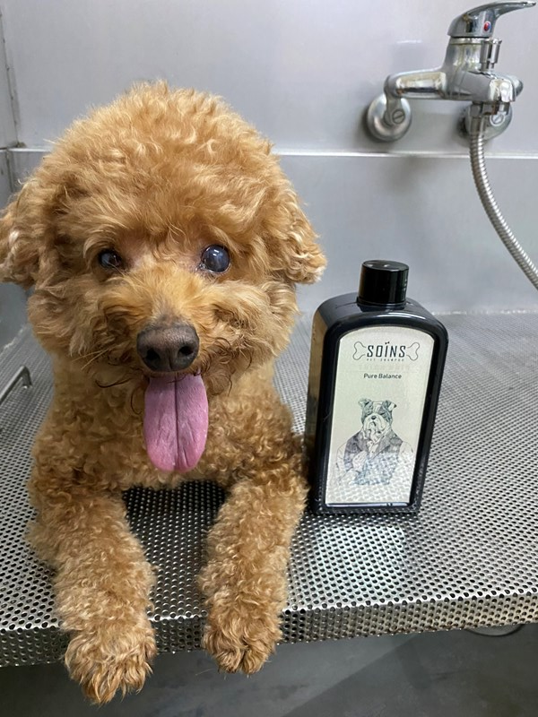 女人知己試用大隊,SOINS絲旺洗毛精,SOINS絲旺,洗毛精,SOINS絲旺潔白蓬鬆洗毛精,SOINS絲旺平衡控油洗毛精,SOINS絲旺舒緩抗敏洗毛精,貓狗適用