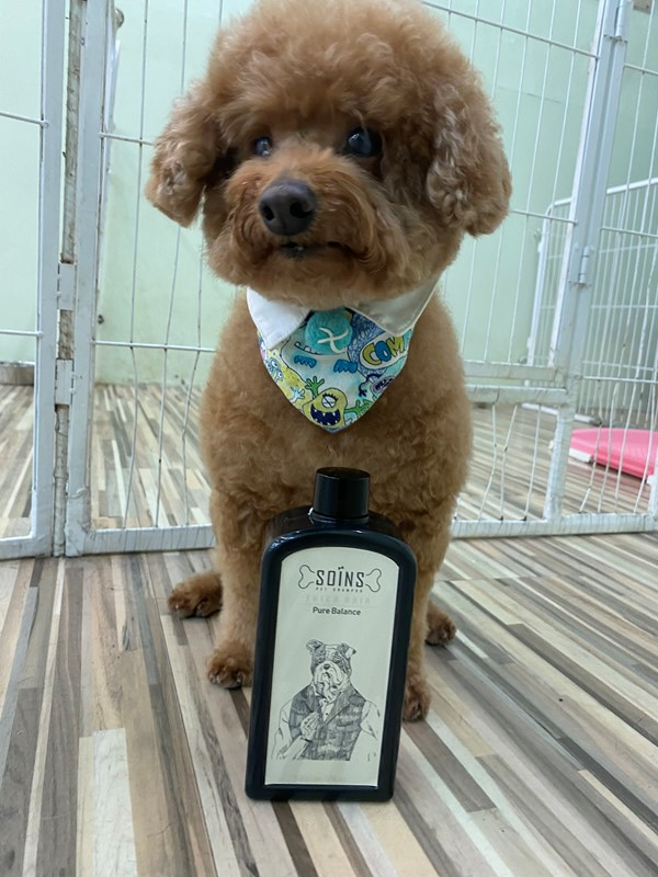 女人知己試用大隊,SOINS絲旺洗毛精,SOINS絲旺,洗毛精,SOINS絲旺潔白蓬鬆洗毛精,SOINS絲旺平衡控油洗毛精,SOINS絲旺舒緩抗敏洗毛精,貓狗適用