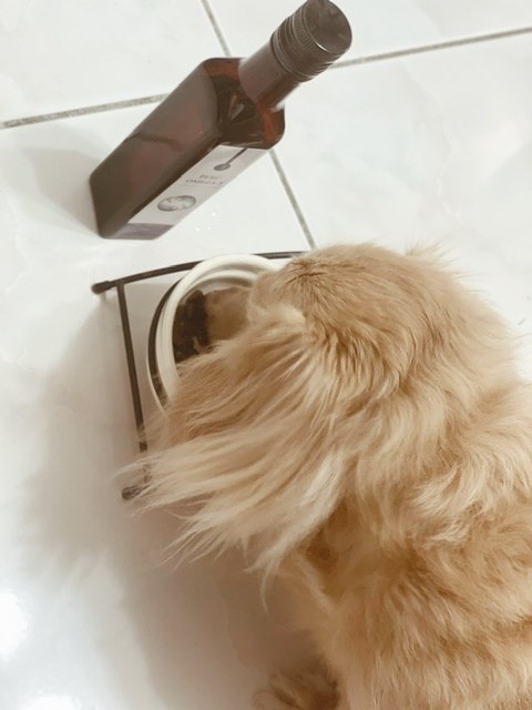 女人知己試用大隊,口碑行銷,部落客行銷,愛寶Perú黃金魚油+,愛寶aipawspro寵物醫美級賽洛美Perú黃金魚油,寵物品牌首創添加醫美頂級賽洛美,通過USP/SGS/FDA認證,祕魯純淨海域小型魚製成,寵物保健專家,寵物養生專員