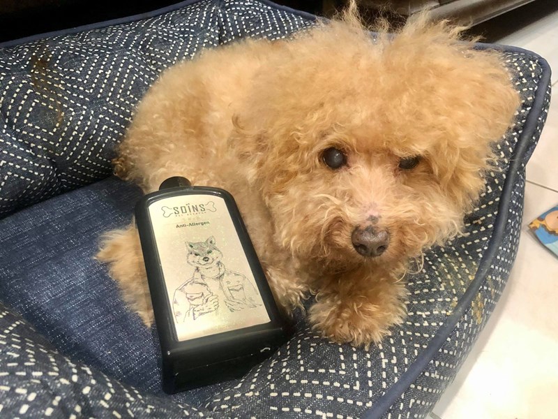 女人知己試用大隊,SOINS絲旺洗毛精,SOINS絲旺,洗毛精,SOINS絲旺潔白蓬鬆洗毛精,SOINS絲旺平衡控油洗毛精,SOINS絲旺舒緩抗敏洗毛精,貓狗適用