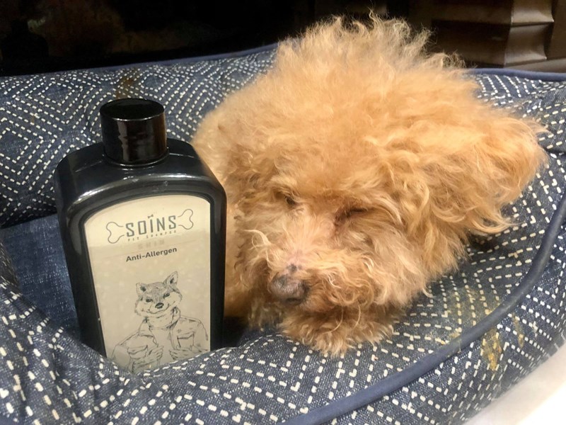 女人知己試用大隊,SOINS絲旺洗毛精,SOINS絲旺,洗毛精,SOINS絲旺潔白蓬鬆洗毛精,SOINS絲旺平衡控油洗毛精,SOINS絲旺舒緩抗敏洗毛精,貓狗適用