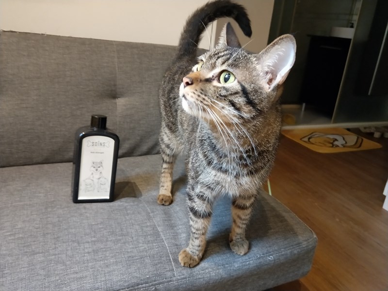 女人知己試用大隊,SOINS絲旺洗毛精,SOINS絲旺,洗毛精,SOINS絲旺潔白蓬鬆洗毛精,SOINS絲旺平衡控油洗毛精,SOINS絲旺舒緩抗敏洗毛精,貓狗適用