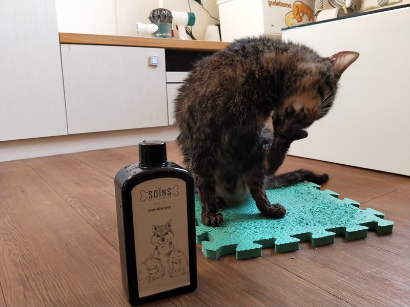 女人知己試用大隊,SOINS絲旺洗毛精,SOINS絲旺,洗毛精,SOINS絲旺潔白蓬鬆洗毛精,SOINS絲旺平衡控油洗毛精,SOINS絲旺舒緩抗敏洗毛精,貓狗適用