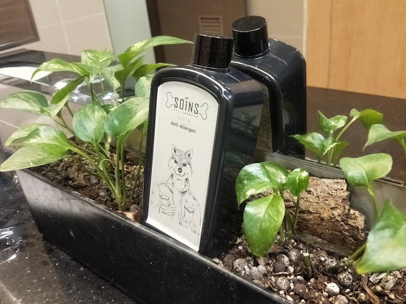 女人知己試用大隊,SOINS絲旺洗毛精,SOINS絲旺,洗毛精,SOINS絲旺潔白蓬鬆洗毛精,SOINS絲旺平衡控油洗毛精,SOINS絲旺舒緩抗敏洗毛精,貓狗適用