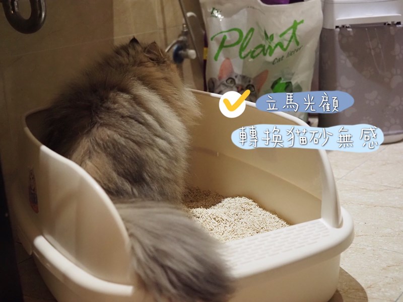 女人知己試用大隊,口碑行銷,部落客行銷,寵愛物語 輕植系貓砂 極細型 14lb,天然食品級原料,1.5mm超級細，用量省,包覆性強,無添加有害物質,可沖馬桶或當作推肥使用,低粉塵,迅速凝結,換砂無感轉換