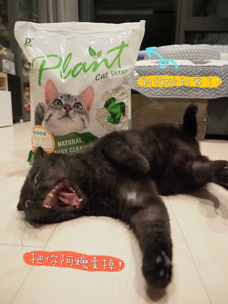 女人知己試用大隊,口碑行銷,部落客行銷,寵愛物語 輕植系貓砂 極細型 14lb,天然食品級原料,1.5mm超級細，用量省,包覆性強,無添加有害物質,可沖馬桶或當作推肥使用,低粉塵,迅速凝結,換砂無感轉換