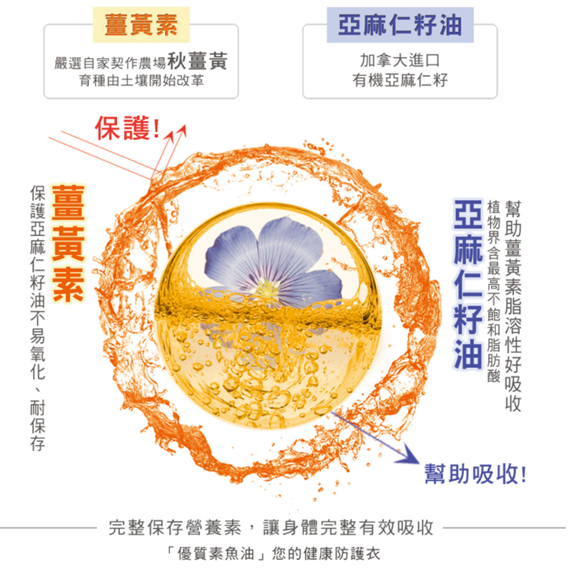 女人知己試用大隊,口碑行銷,部落客行銷,小先草本-薑黃亞麻仁籽油軟膠囊,薑黃推薦,薑黃素好處,薑黃吃法,薑黃油萃,亞麻仁籽油好處,保健食品品牌推薦,先河GOGO,小先草本,薑黃亞麻仁籽油軟膠囊
