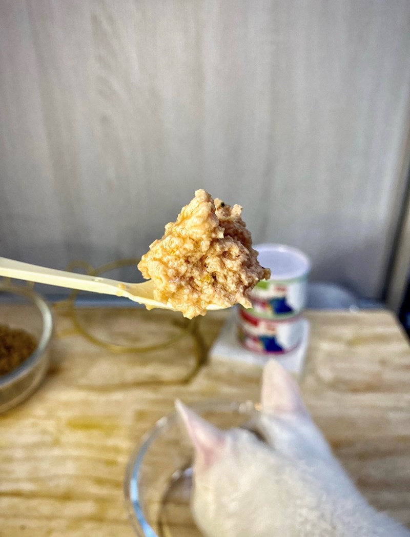 女人知己,女人知己試用大隊,試用大隊,PURRFACT 波菲特貓用主食罐