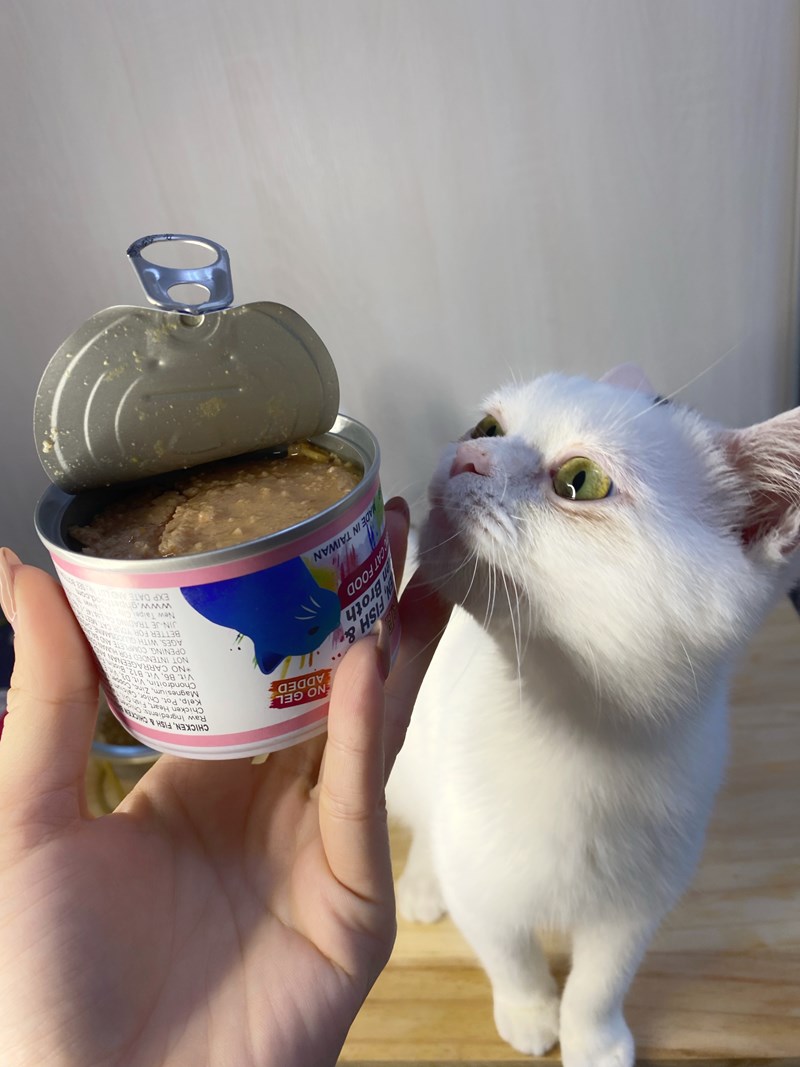 女人知己,女人知己試用大隊,試用大隊,PURRFACT 波菲特貓用主食罐