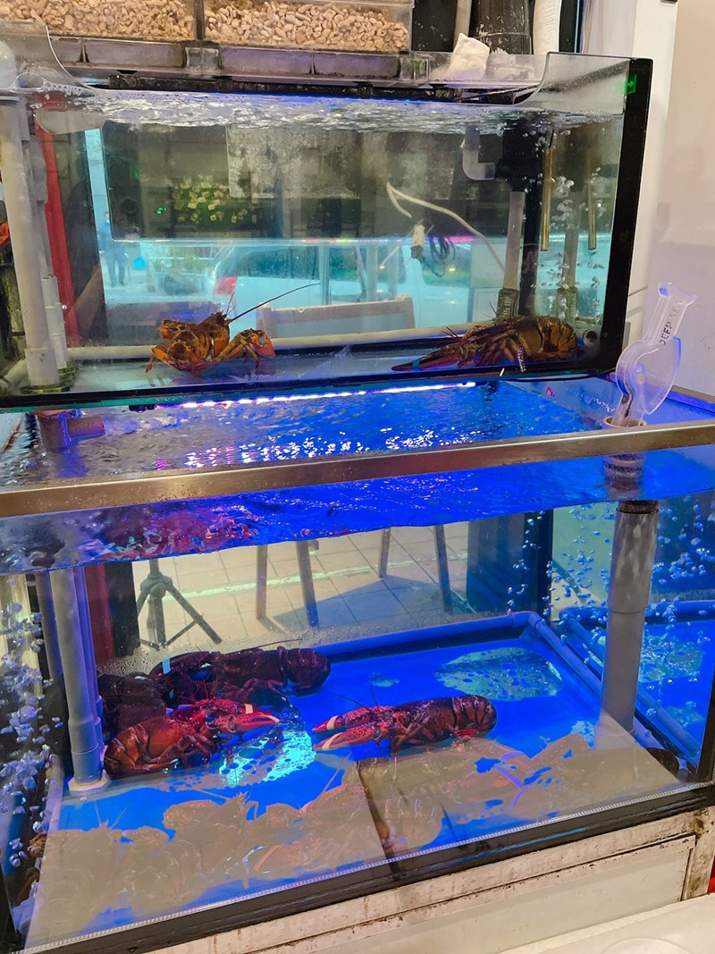 女人知己試用大隊,口碑行銷,部落客行銷,海陸雙人套餐,中壢火鍋推薦,中壢聚餐,中原火鍋推薦,中壢和牛,源自蘆洲正官,中壢火鍋,桃園火鍋,中壢鍋物推薦,中壢上官木桶鍋,上官木桶鍋