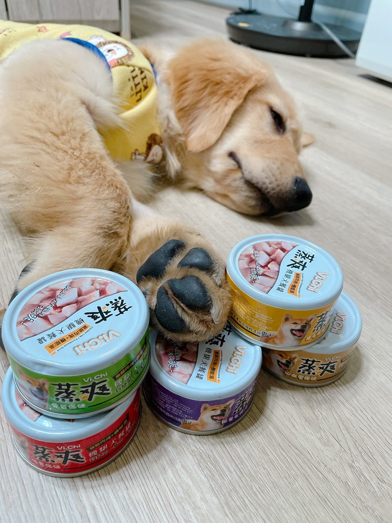 女人知己試用大隊,口碑行銷,部落客行銷,維齊 Vi.Chi 蒸爽機腿犬餐罐 80g,鮮嫩大塊雞腿肉,機能高湯補充營養與水分,低卡路里,低脂肪,易吸收,增強體質,大塊肉塊,口感十足