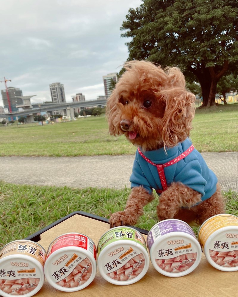 女人知己試用大隊,口碑行銷,部落客行銷,維齊 Vi.Chi 蒸爽機腿犬餐罐 80g,鮮嫩大塊雞腿肉,機能高湯補充營養與水分,低卡路里,低脂肪,易吸收,增強體質,大塊肉塊,口感十足