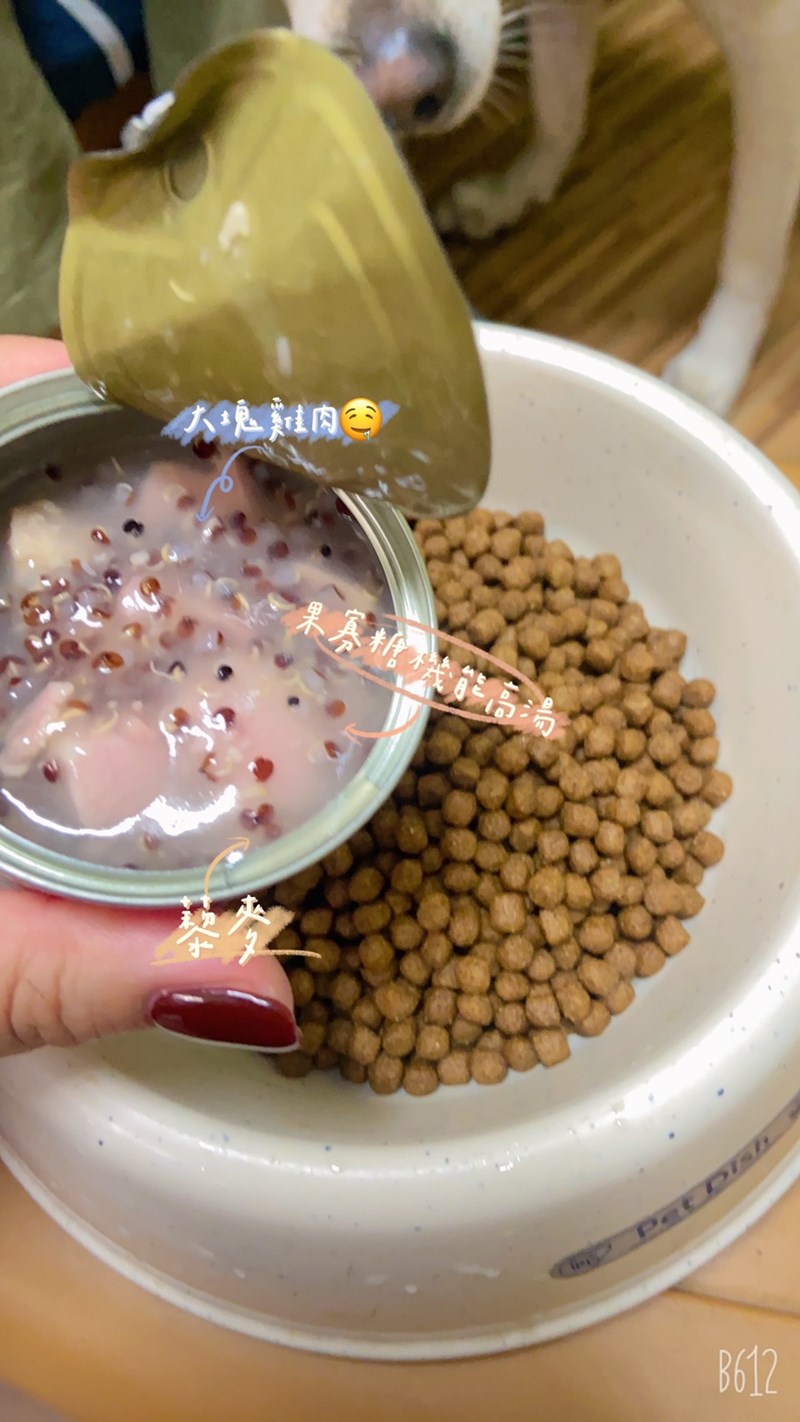女人知己試用大隊,口碑行銷,部落客行銷,維齊 Vi.Chi 蒸爽機腿犬餐罐 80g,鮮嫩大塊雞腿肉,機能高湯補充營養與水分,低卡路里,低脂肪,易吸收,增強體質,大塊肉塊,口感十足