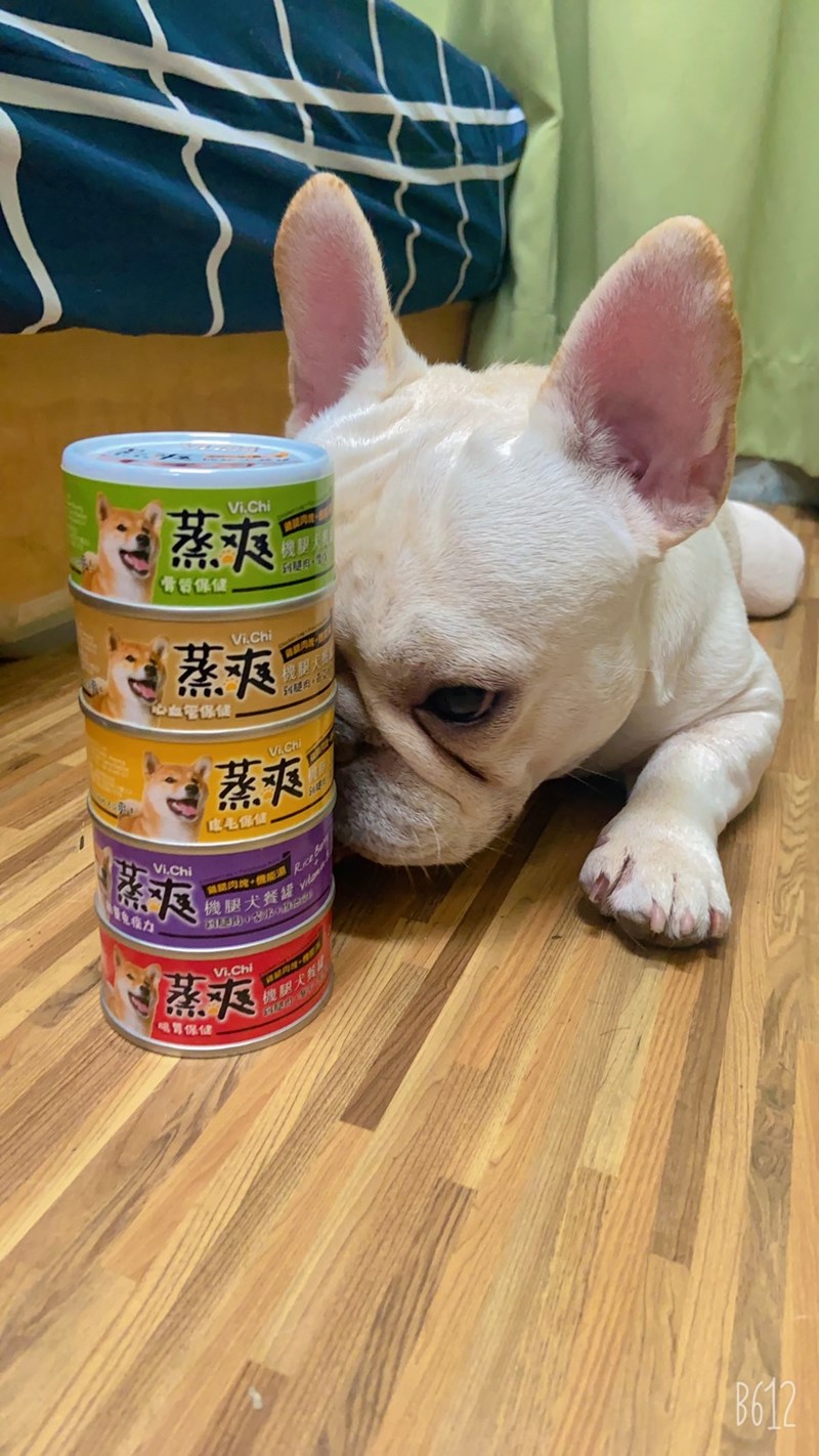 女人知己試用大隊,口碑行銷,部落客行銷,維齊 Vi.Chi 蒸爽機腿犬餐罐 80g,鮮嫩大塊雞腿肉,機能高湯補充營養與水分,低卡路里,低脂肪,易吸收,增強體質,大塊肉塊,口感十足
