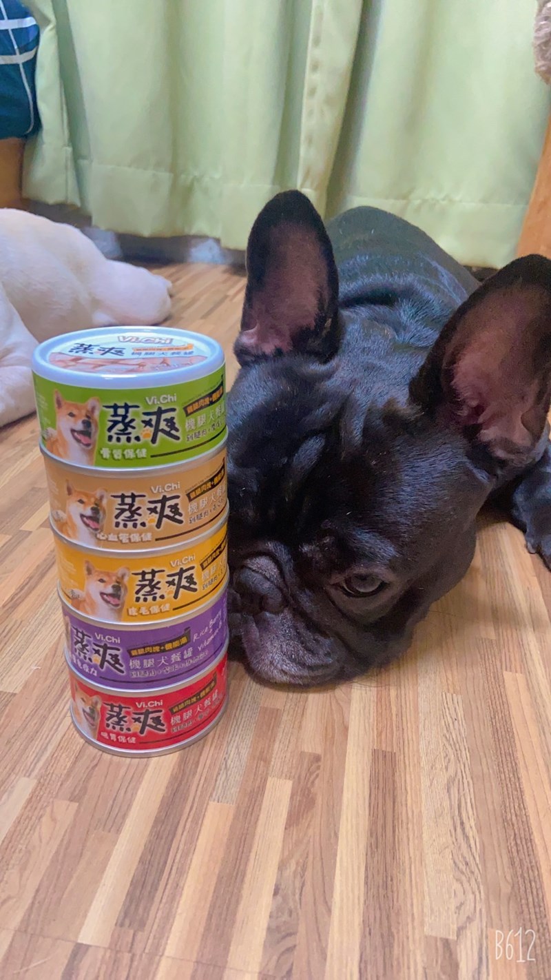 女人知己試用大隊,口碑行銷,部落客行銷,維齊 Vi.Chi 蒸爽機腿犬餐罐 80g,鮮嫩大塊雞腿肉,機能高湯補充營養與水分,低卡路里,低脂肪,易吸收,增強體質,大塊肉塊,口感十足