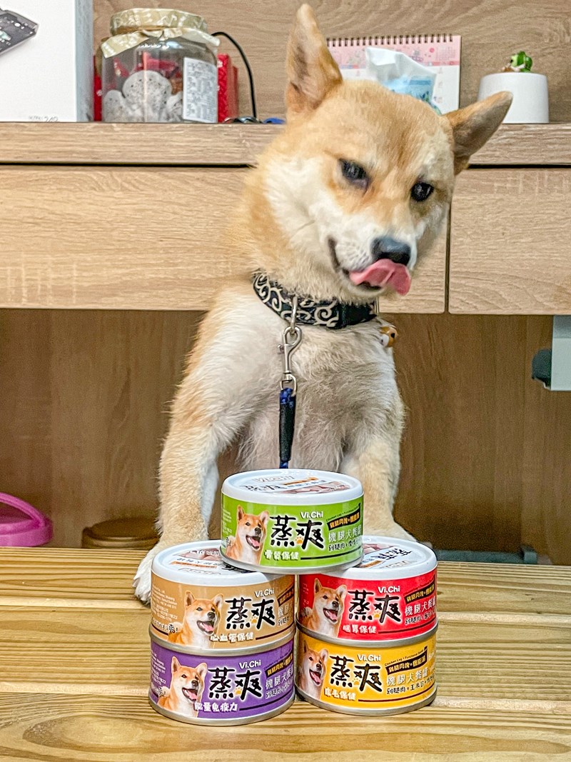 女人知己試用大隊,口碑行銷,部落客行銷,維齊 Vi.Chi 蒸爽機腿犬餐罐 80g,鮮嫩大塊雞腿肉,機能高湯補充營養與水分,低卡路里,低脂肪,易吸收,增強體質,大塊肉塊,口感十足