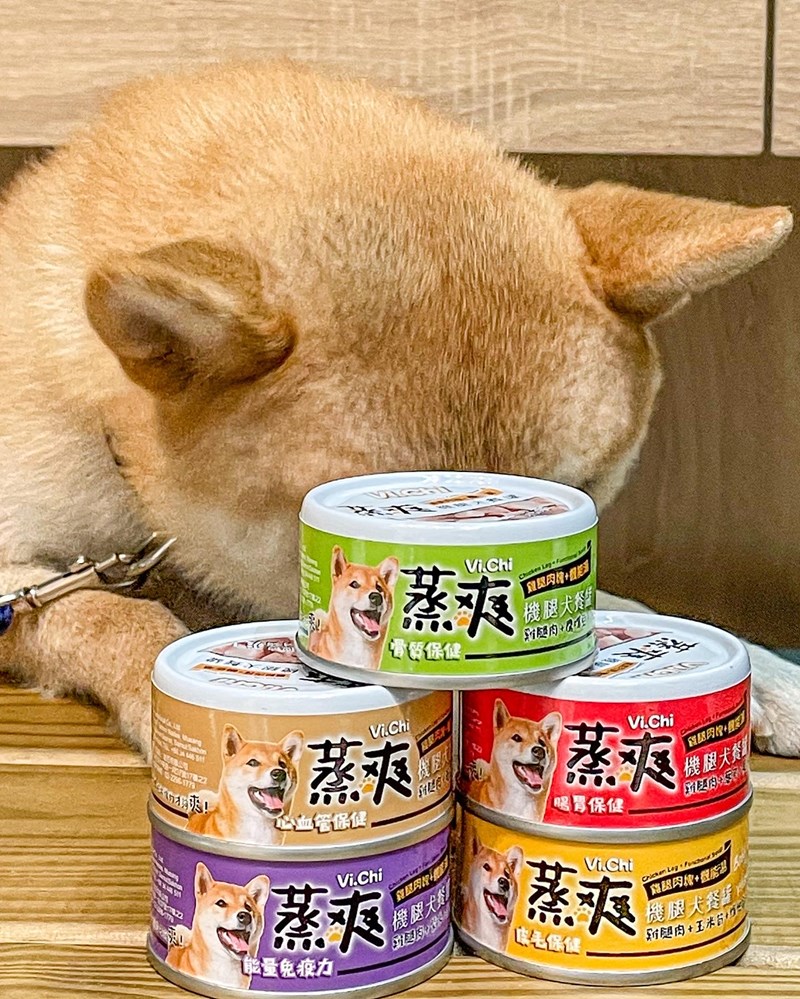 女人知己試用大隊,口碑行銷,部落客行銷,維齊 Vi.Chi 蒸爽機腿犬餐罐 80g,鮮嫩大塊雞腿肉,機能高湯補充營養與水分,低卡路里,低脂肪,易吸收,增強體質,大塊肉塊,口感十足