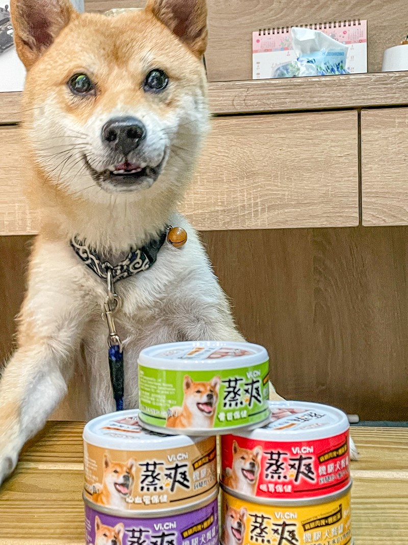 女人知己試用大隊,口碑行銷,部落客行銷,維齊 Vi.Chi 蒸爽機腿犬餐罐 80g,鮮嫩大塊雞腿肉,機能高湯補充營養與水分,低卡路里,低脂肪,易吸收,增強體質,大塊肉塊,口感十足