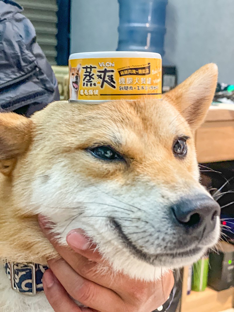 女人知己試用大隊,口碑行銷,部落客行銷,維齊 Vi.Chi 蒸爽機腿犬餐罐 80g,鮮嫩大塊雞腿肉,機能高湯補充營養與水分,低卡路里,低脂肪,易吸收,增強體質,大塊肉塊,口感十足