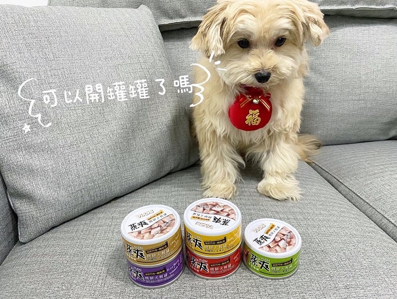 女人知己試用大隊,口碑行銷,部落客行銷,維齊 Vi.Chi 蒸爽機腿犬餐罐 80g,鮮嫩大塊雞腿肉,機能高湯補充營養與水分,低卡路里,低脂肪,易吸收,增強體質,大塊肉塊,口感十足