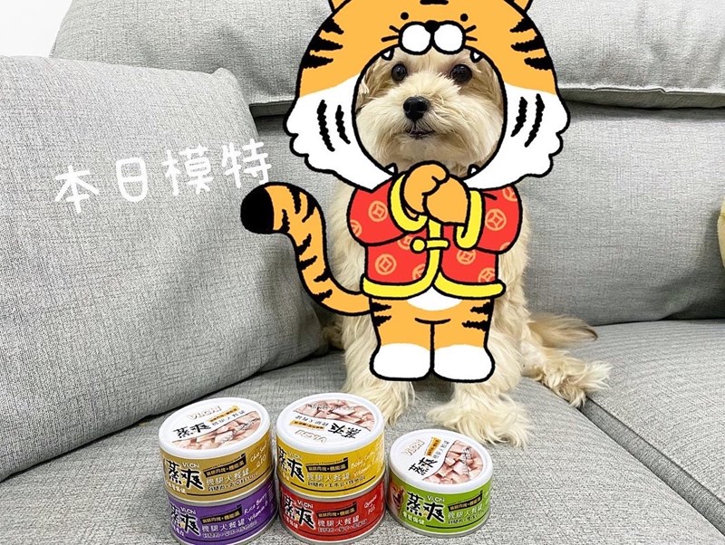 女人知己試用大隊,口碑行銷,部落客行銷,維齊 Vi.Chi 蒸爽機腿犬餐罐 80g,鮮嫩大塊雞腿肉,機能高湯補充營養與水分,低卡路里,低脂肪,易吸收,增強體質,大塊肉塊,口感十足