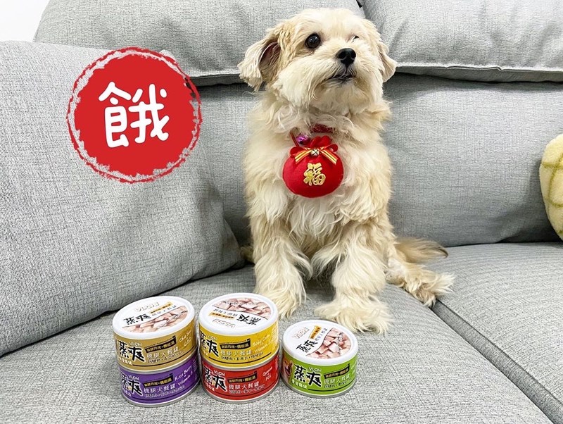 女人知己試用大隊,口碑行銷,部落客行銷,維齊 Vi.Chi 蒸爽機腿犬餐罐 80g,鮮嫩大塊雞腿肉,機能高湯補充營養與水分,低卡路里,低脂肪,易吸收,增強體質,大塊肉塊,口感十足