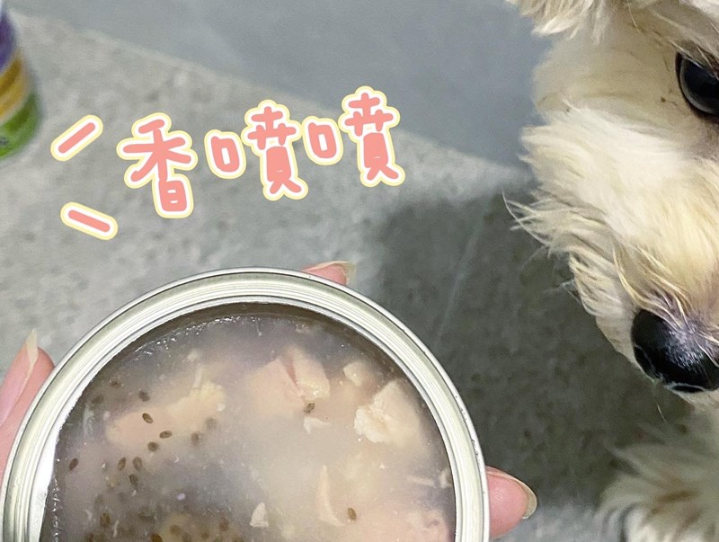 女人知己試用大隊,口碑行銷,部落客行銷,維齊 Vi.Chi 蒸爽機腿犬餐罐 80g,鮮嫩大塊雞腿肉,機能高湯補充營養與水分,低卡路里,低脂肪,易吸收,增強體質,大塊肉塊,口感十足