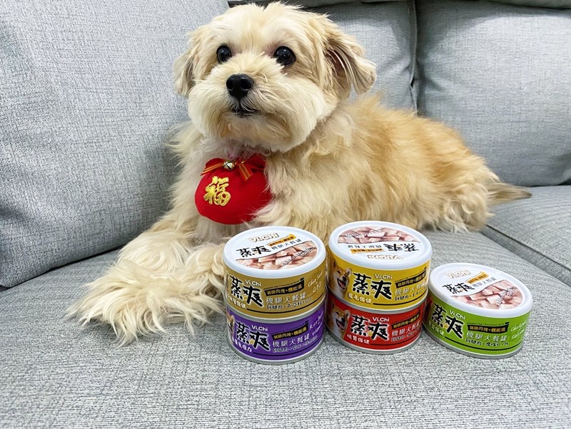女人知己試用大隊,口碑行銷,部落客行銷,維齊 Vi.Chi 蒸爽機腿犬餐罐 80g,鮮嫩大塊雞腿肉,機能高湯補充營養與水分,低卡路里,低脂肪,易吸收,增強體質,大塊肉塊,口感十足