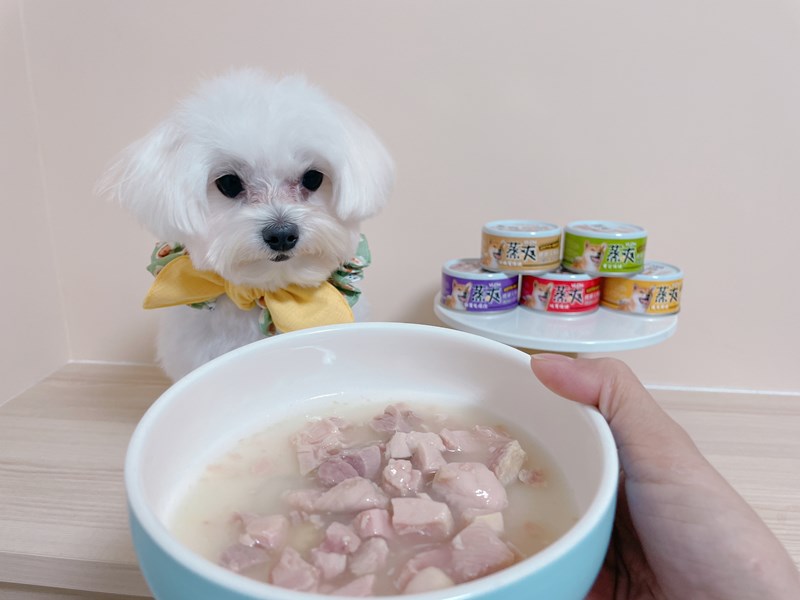 女人知己試用大隊,口碑行銷,部落客行銷,維齊 Vi.Chi 蒸爽機腿犬餐罐 80g,鮮嫩大塊雞腿肉,機能高湯補充營養與水分,低卡路里,低脂肪,易吸收,增強體質,大塊肉塊,口感十足