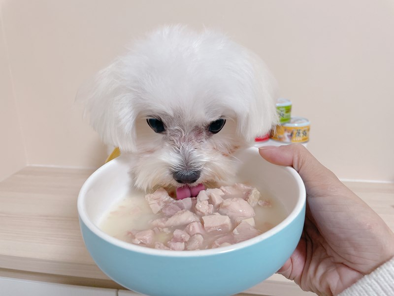 女人知己試用大隊,口碑行銷,部落客行銷,維齊 Vi.Chi 蒸爽機腿犬餐罐 80g,鮮嫩大塊雞腿肉,機能高湯補充營養與水分,低卡路里,低脂肪,易吸收,增強體質,大塊肉塊,口感十足