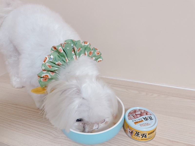 女人知己試用大隊,口碑行銷,部落客行銷,維齊 Vi.Chi 蒸爽機腿犬餐罐 80g,鮮嫩大塊雞腿肉,機能高湯補充營養與水分,低卡路里,低脂肪,易吸收,增強體質,大塊肉塊,口感十足