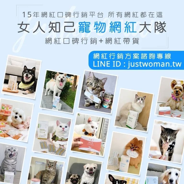 女人知己寵物網紅大隊(給廠商看)