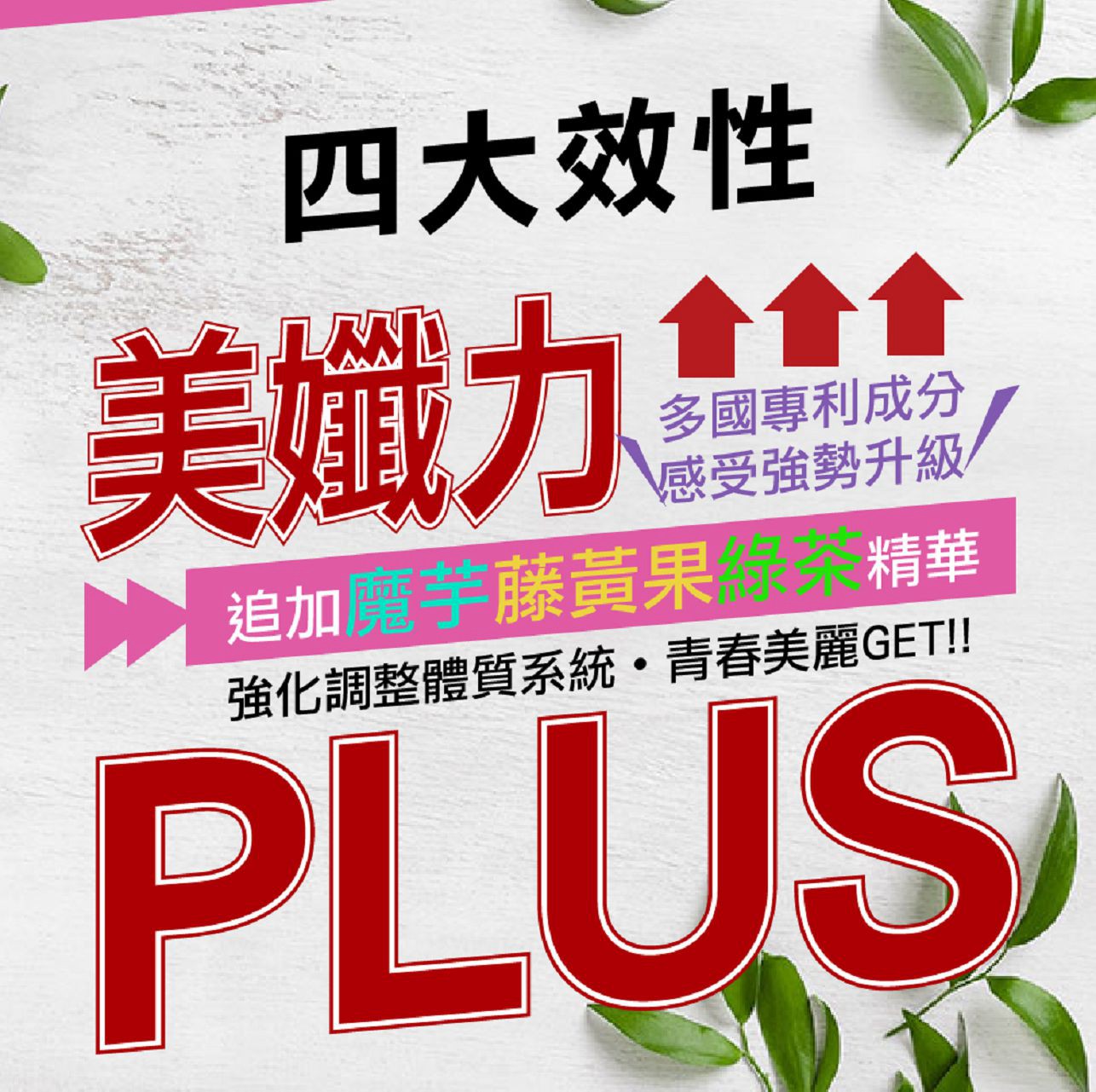試用