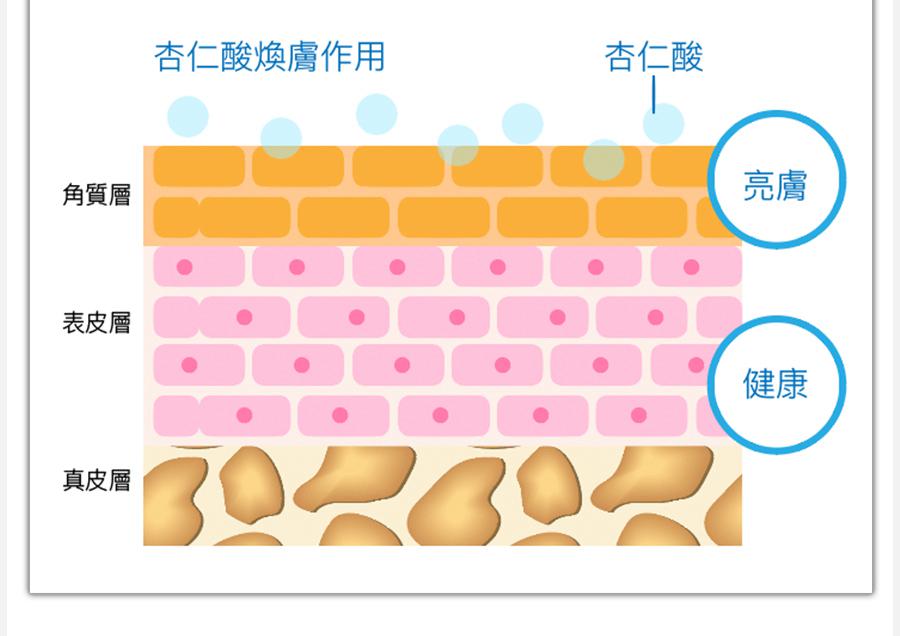 試用